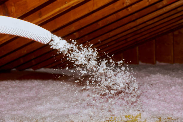 Best Eco-Friendly Insulation in Cattaraugus, NY