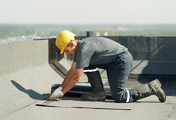 Best DIY Insulation Kits and Guidance in Cattaraugus, NY