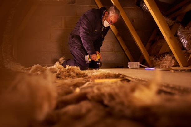 Best Cellulose Insulation in Cattaraugus, NY